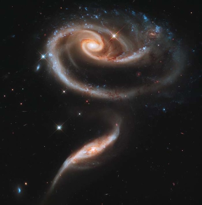 These two neighboring galaxies look a bit like a rose because of the gravitational forces acting on them.