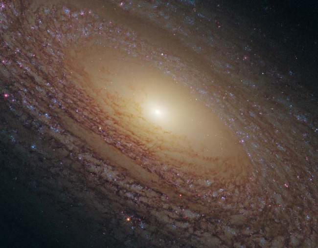 Meet galaxy NGC 2841.