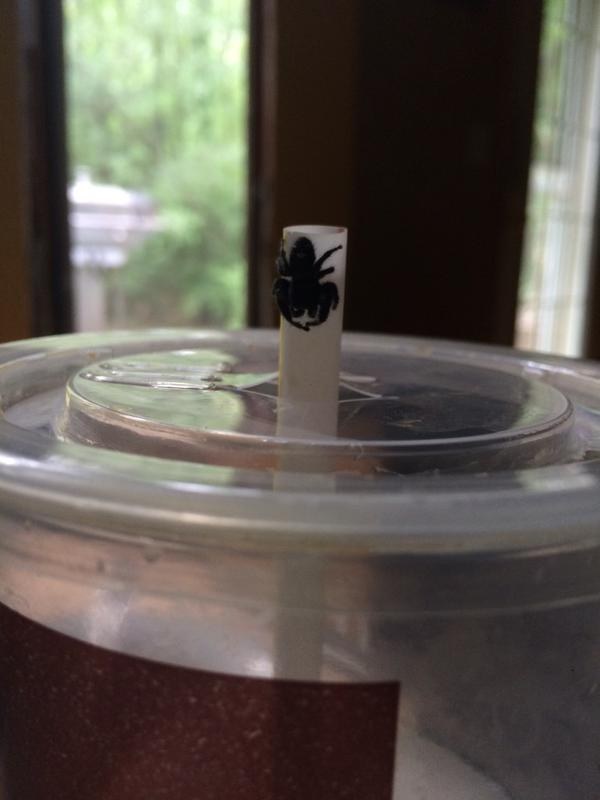 That's not as bad as a spider on your straw though.
