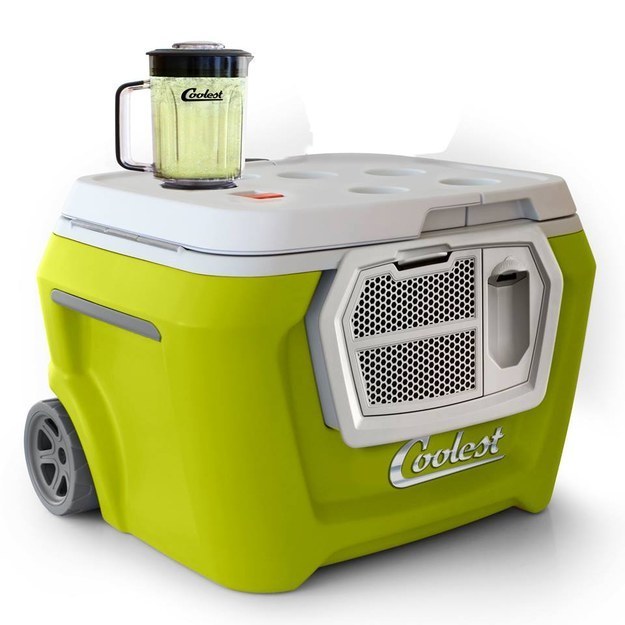 The Coolest ($485) is a USB-charging, gadget-toting, bottle-opening cooler with a built-in blender and cutting board.