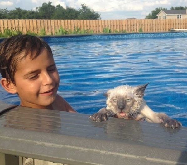 This cat who can't swim and doesn't want to learn.