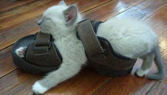 Sleep sandal.