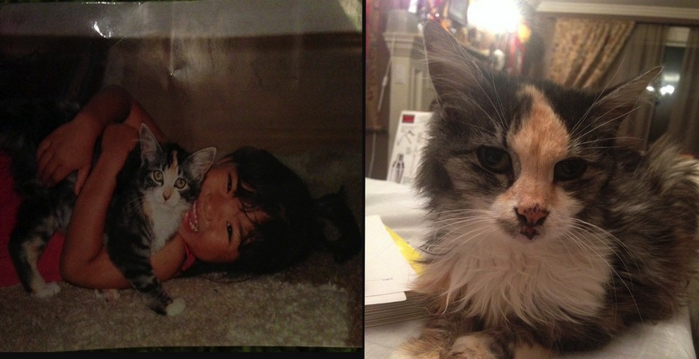 "The first and last photo of my best friend, I love you Mel"
