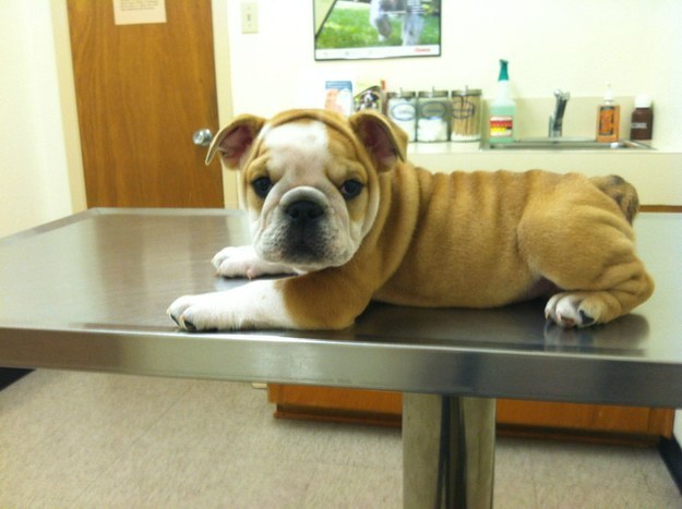 "Sooo...did the doctor say that all my wrinkles are in the right spots?"
