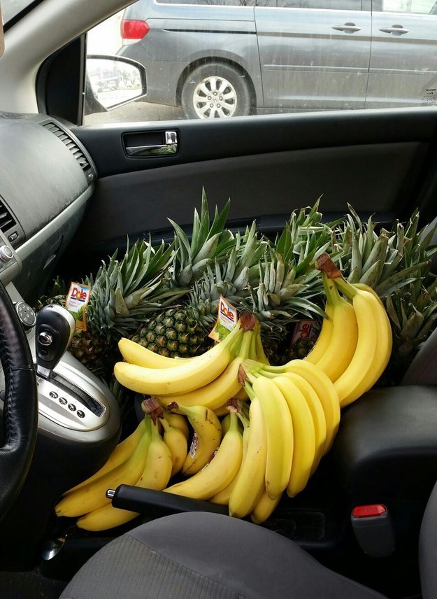 "You wake up one morning to find 25 bananas and 13 pineapples in the place where your lover once lay. Who...did this?"