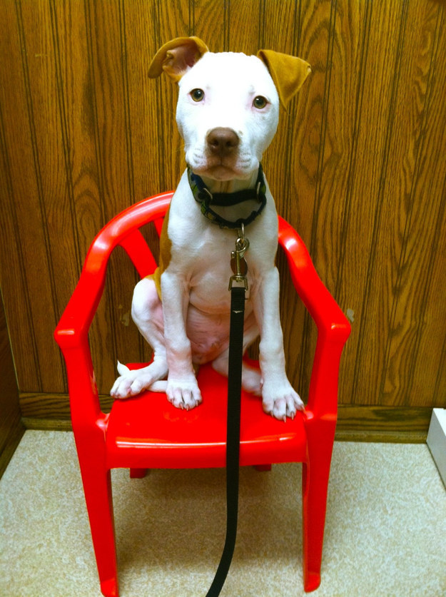 "At least I get my very own chair while I wait for the doc!"