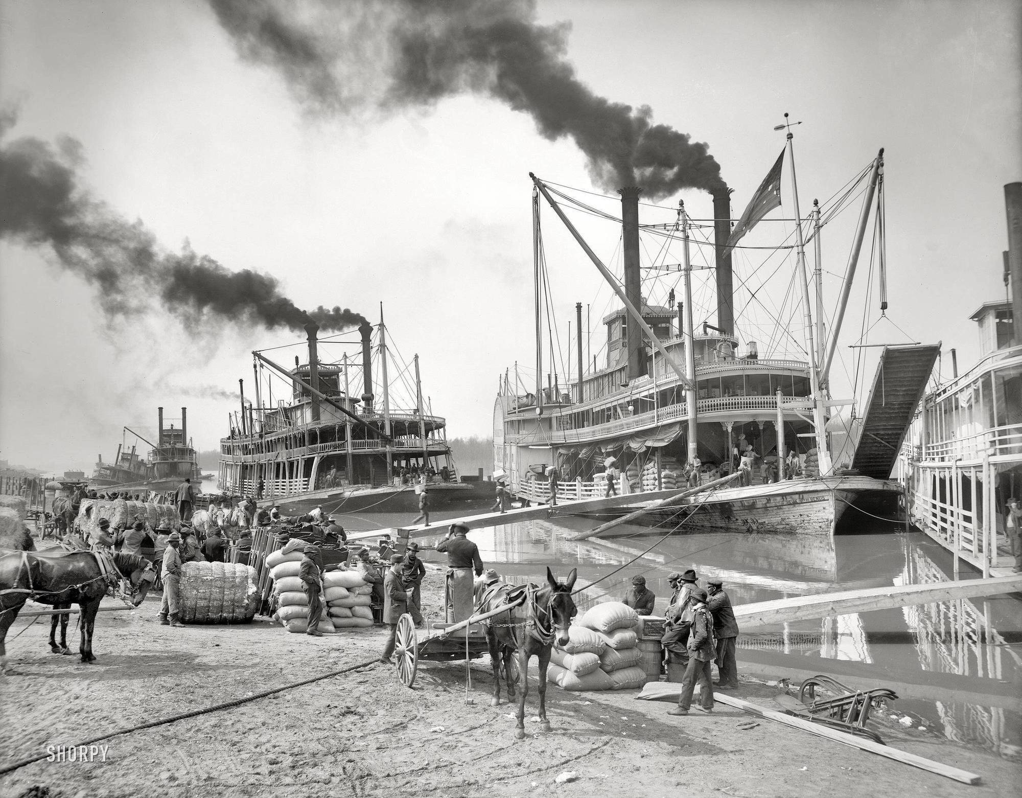 Steamboats chugging along on the Mississippi River in 1907.