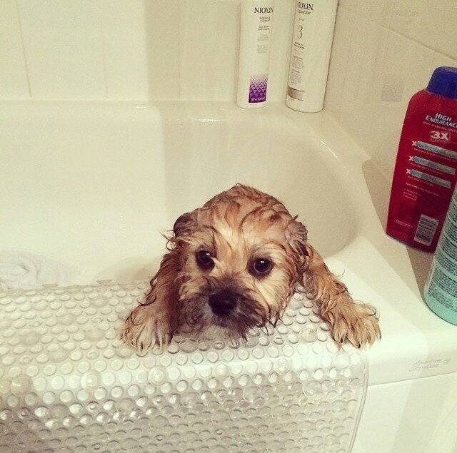 When you left him alone in the tub even though you're not supposed to.