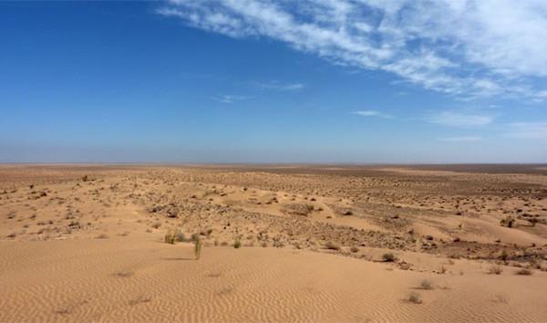 Wind transports 40 million tons of dust from the Sahara to the Amazon every year.