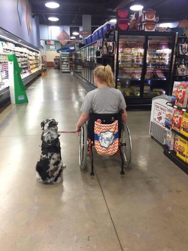 This is Hailey Ashmore and her service dog, Flynn. 