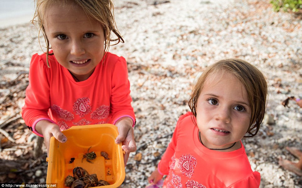 At one with nature: The girls have learned about many marine creatures and wake up each morning to a beach 