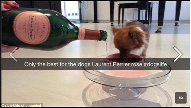 Some of the more hilarious snaps show a woman pouring a bottle of Laurent Perrier rose, which costs around £50 a pop, into what looks like her dog's bowl - but it's just an optical illusion