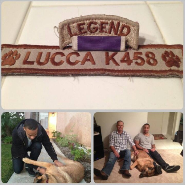 cz-user-dog-Lucca-3-legs-600-2