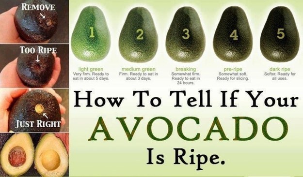 Never buy an over-ripened avocado again.
