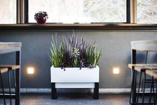 Stop accidentally starving your plants and get this planter that waters itself.