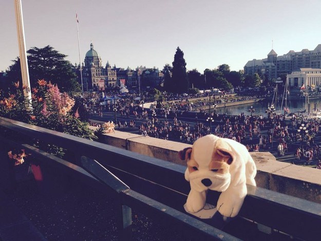 The staff made sure Boris got to see all the local sights.