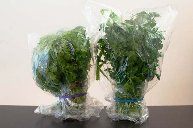 To store delicate herbs, place them in cups of water, cover them with plastic wrap, secure with a rubber band, and refrigerate.