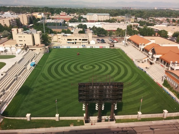 This lovely spiral lawn.
