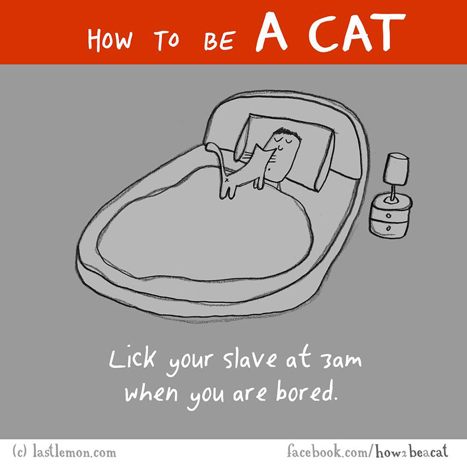 funny-illustration-guide-how-to-be-cat-lisa-swerling-ralph-lazar-14