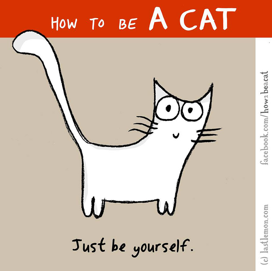 funny-illustration-guide-how-to-be-cat-lisa-swerling-ralph-lazar-29
