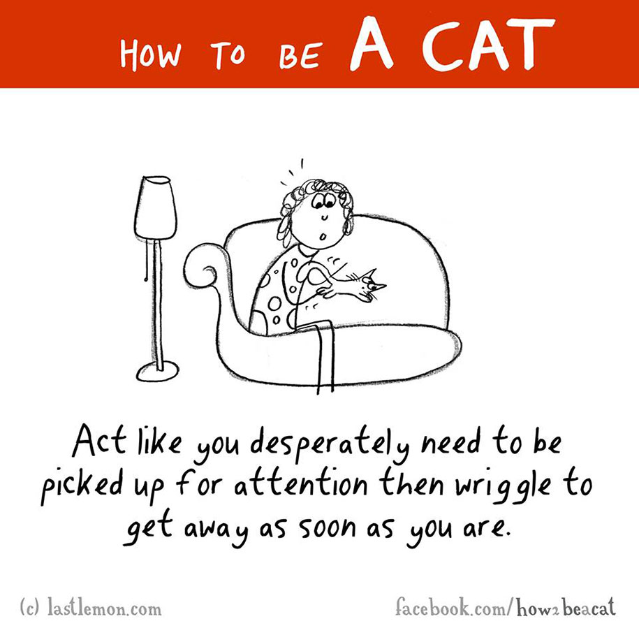 funny-illustration-guide-how-to-be-cat-lisa-swerling-ralph-lazar-37