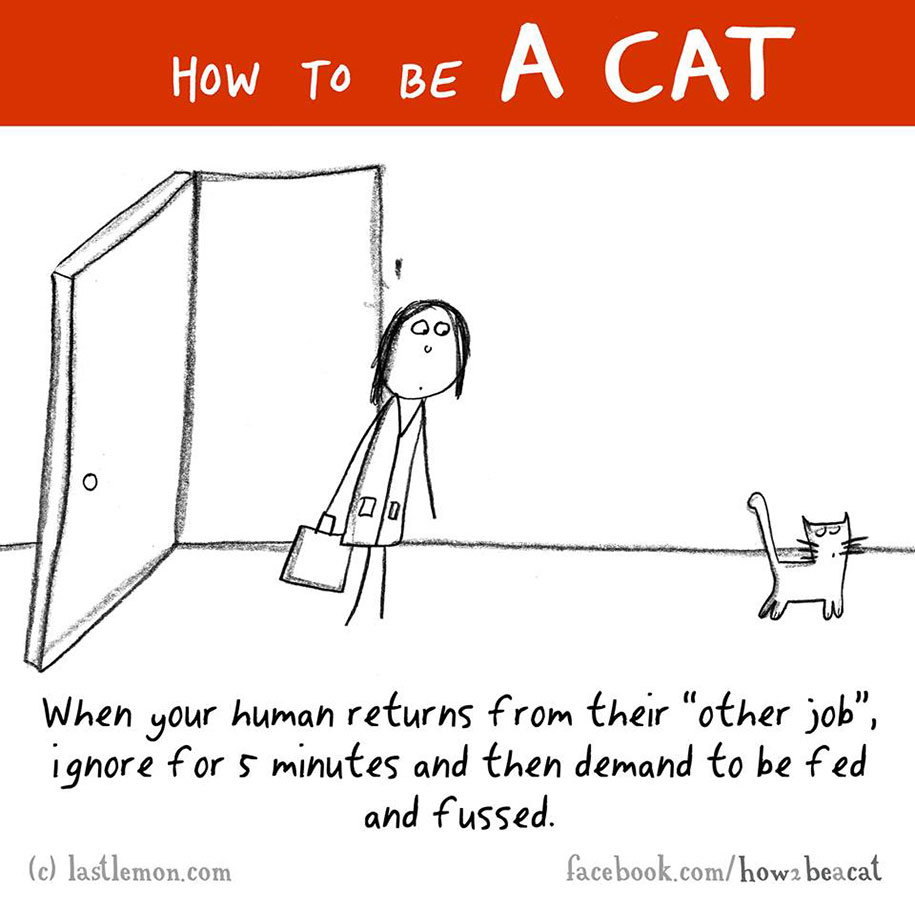 funny-illustration-guide-how-to-be-cat-lisa-swerling-ralph-lazar-38