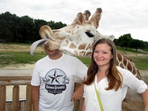 This giraffe really knows how to take a photo.
