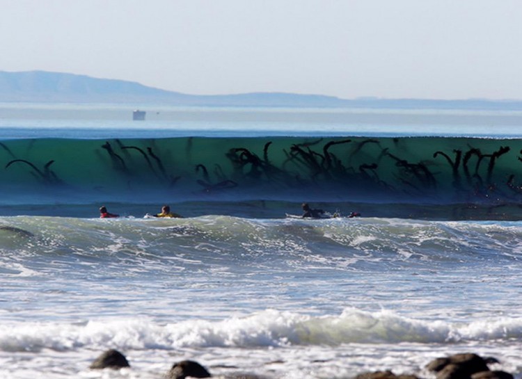 20 Scary Ocean Pictures Showing What's Lurking Below 