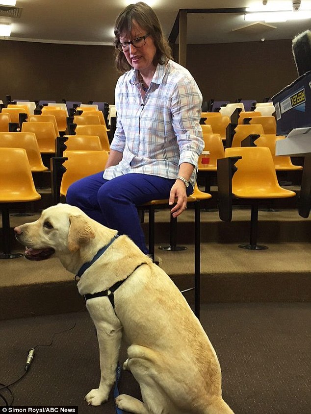 ‘There have been a number of studies, and it’s pretty clear that dogs don’t feel or display guilt,’ says veterinary scientist Dr Susan Hazel (pictured with Labrador Fergus) of the University of Adelaide