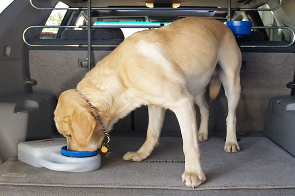 If you’re traveling with a pet, get a spill-proof bowl.