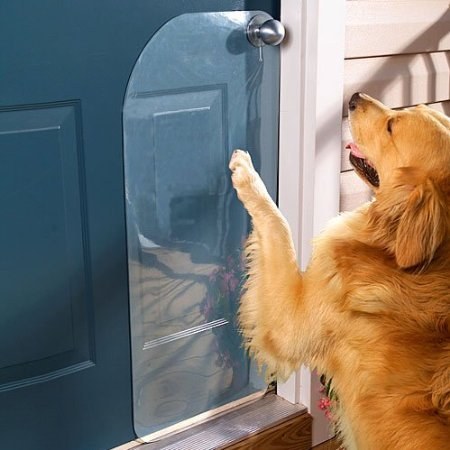 If your dog scratches the door to go out, use a door protector to minimize damages.