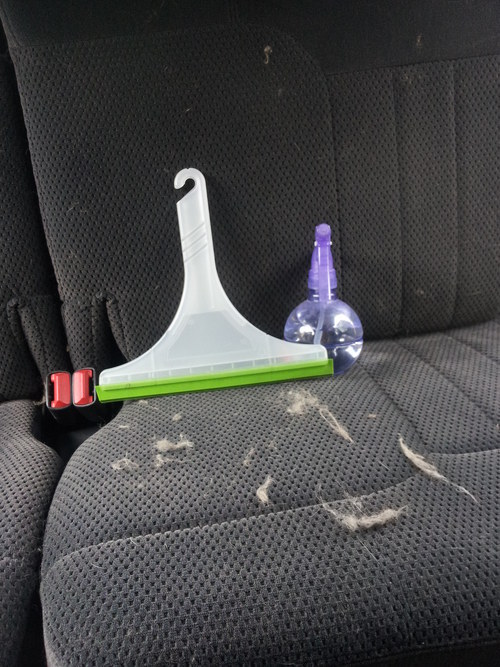 Use a squeegee to remove dog hair from your car seats.