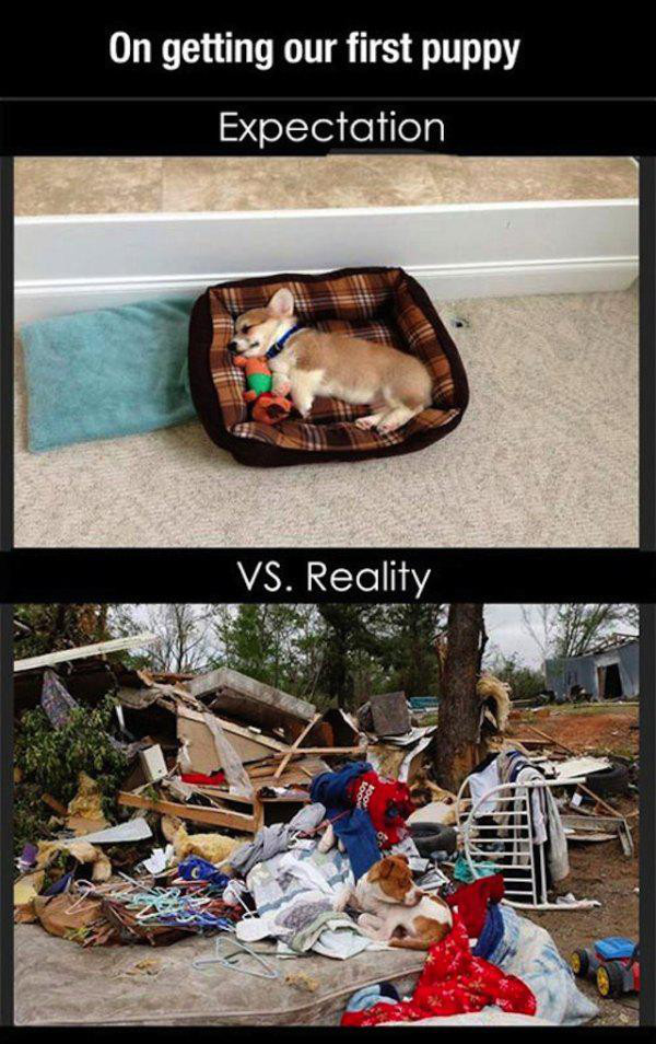expectation versus reality 24 Expectations versus reality (30 Photos)