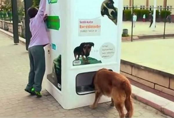 Dog food, Istanbul, Turkey Perhaps the coolest of them all, this vending machine dispenses food and water for stray dogs when people deposit recyclable bottles and cans.