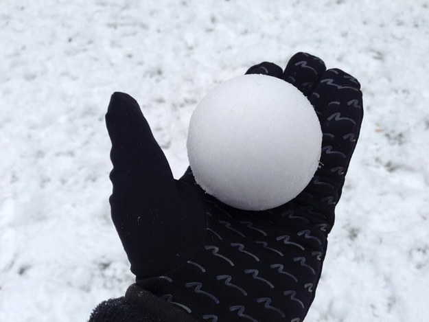 You wouldn't even dare throw this fucking snowball.