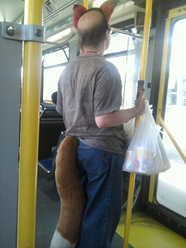 Just a man dressed as a fox and it's not even Halloween.