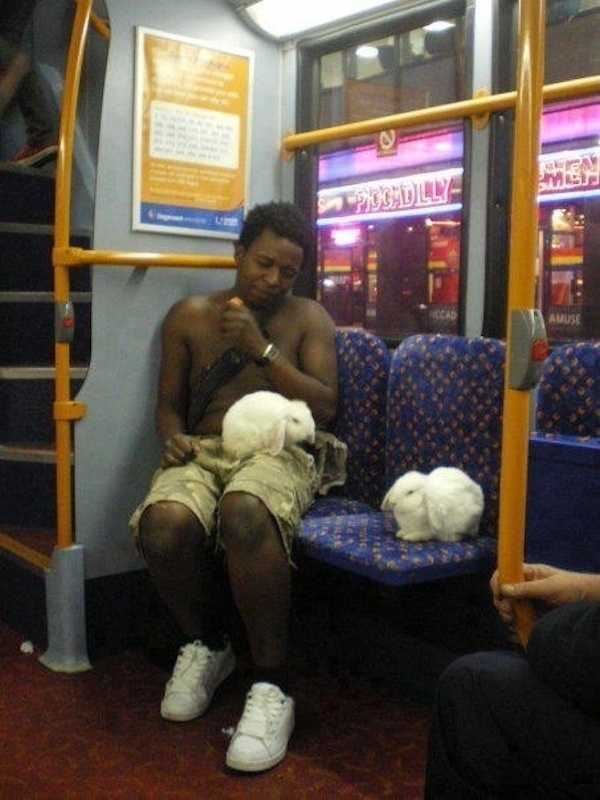 A half dressed man with two white bunnies.