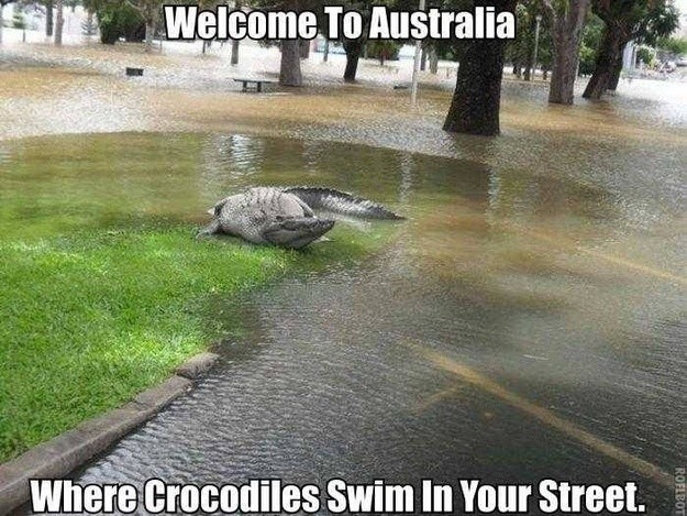 Enormous saltwater crocodiles sometimes even wash up on city streets. And you thought earthworms on the sidewalk after a storm were gross.