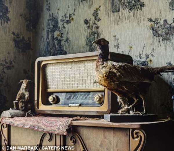 Some places are left in the state they were abandoned in. As you can see from this Belgian house, the radio and stuffed pheasant decorations were still placed on the mantle.