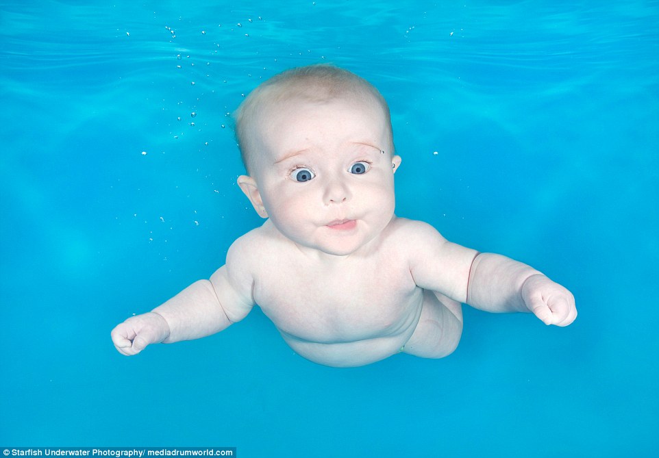 Mollie, 4 months old at a Starfish photo shoot in Clophill, Berkshire, looks perplexed as she dives beneath the waves for the first time