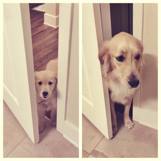 From "Can I come in?" to "I'm coming in, whether you like it or not!"