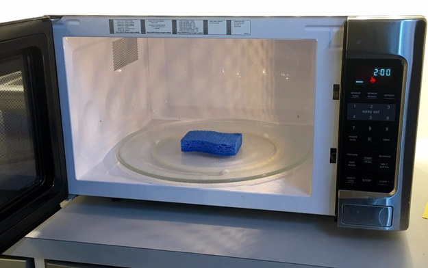 Microwave your sponge to kill 99% of germs and bacteria.