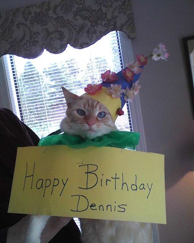 Dennis is not amused.