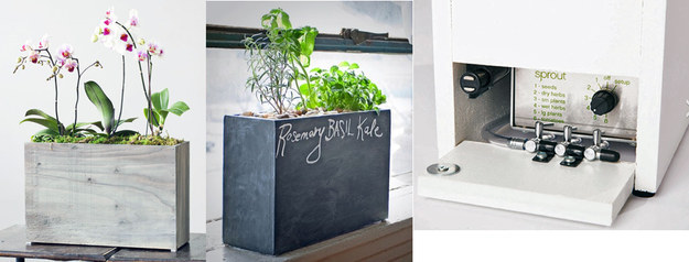 This self-watering and self-feeding hydroponic planter.