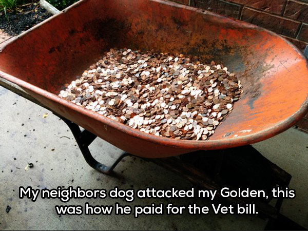 people acting like assholes dicks 6 Sometimes people can be real a**holes (40 Photos)