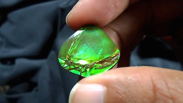 The ammolite, a rare organic gemstone found in the Rocky Mountains. Some say it's actually the rarest gemstone in the world.