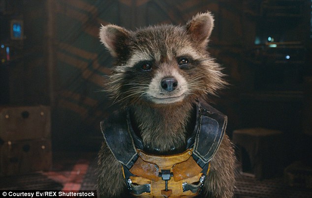 The costume was based on the Rocket Raccoon character, pictured, from The Guardians of the Galaxy