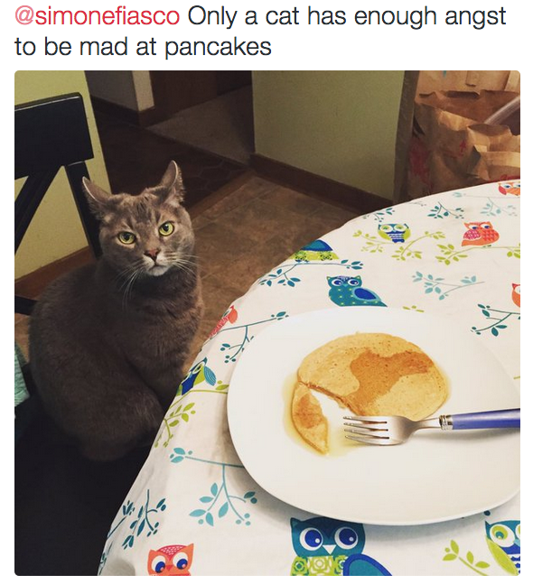 Everyone loves pancakes, except cats, apparently.