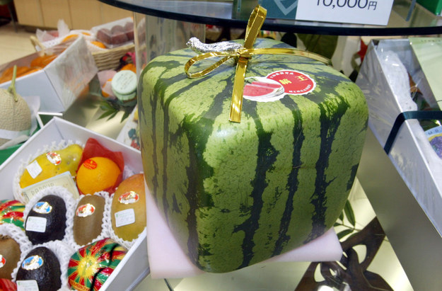 Square watermelon.