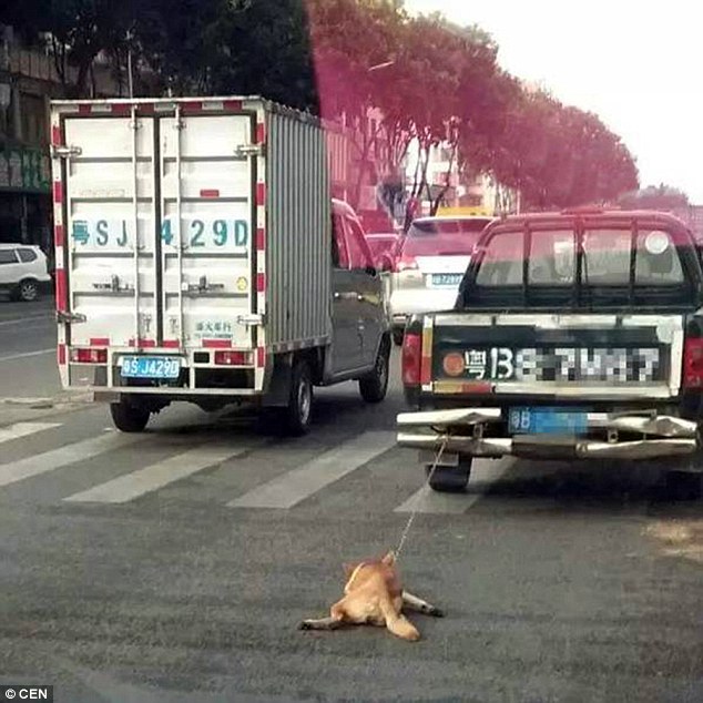 Vile: The  hound was dragged along the road when the truck sped up and it was no longer able to keep up